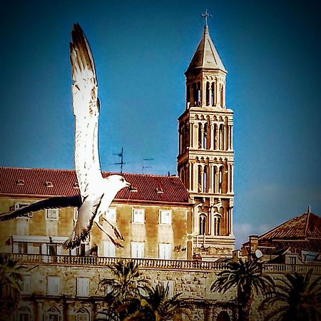 Appartamento Alnea Spalato Esterno foto