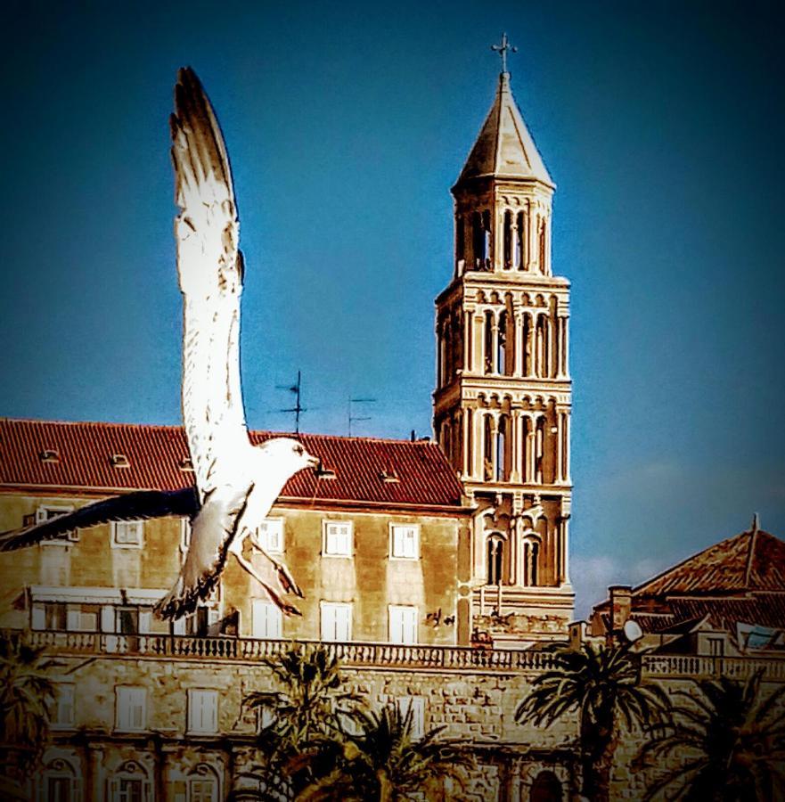 Appartamento Alnea Spalato Esterno foto